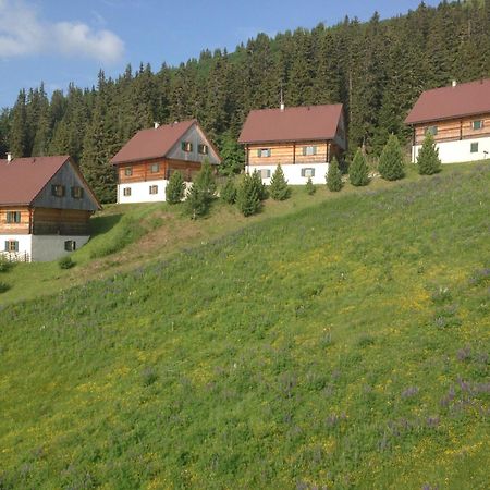 Klippitztorl Moselebaueralm 빌라 외부 사진