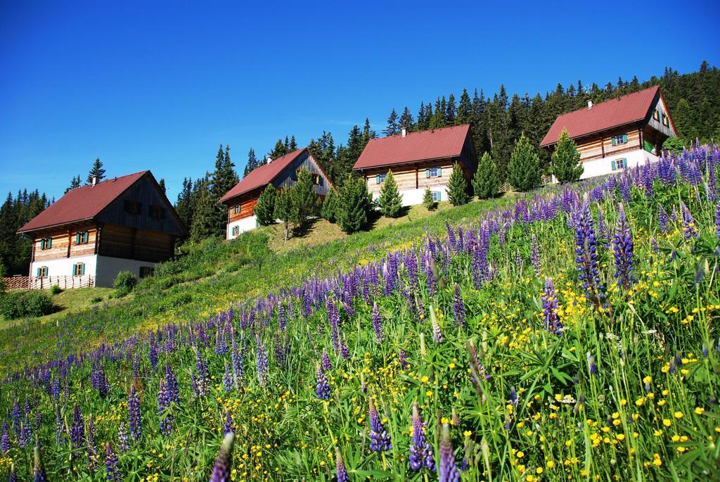 Klippitztorl Moselebaueralm 빌라 객실 사진